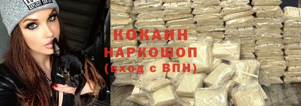 прущие грибы Бронницы