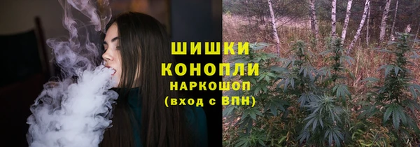 PSILOCYBIN Вязьма