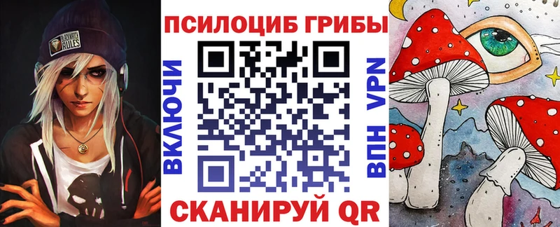 как найти наркотики  Дно  Псилоцибиновые грибы мухоморы 